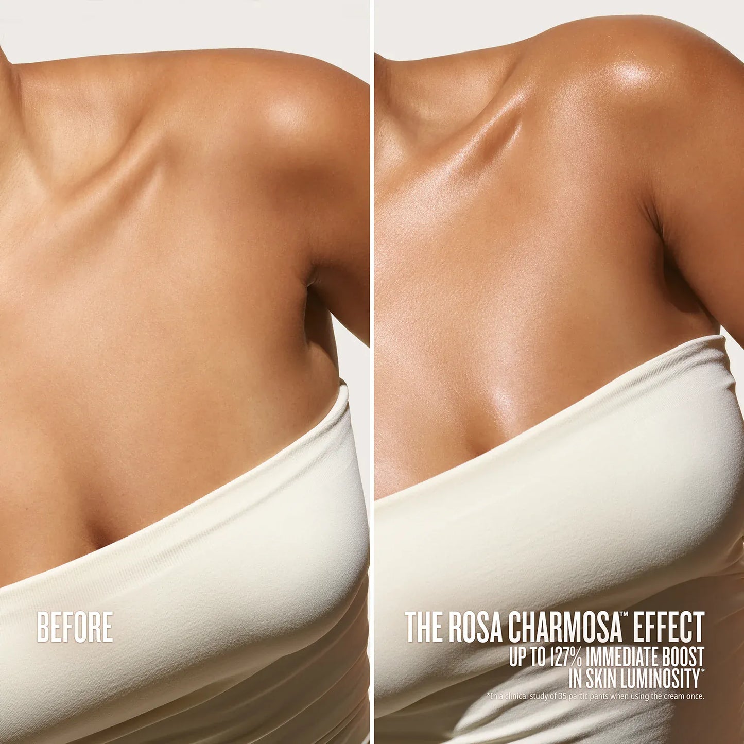 Rosa Charmosa™ Dewy Cream