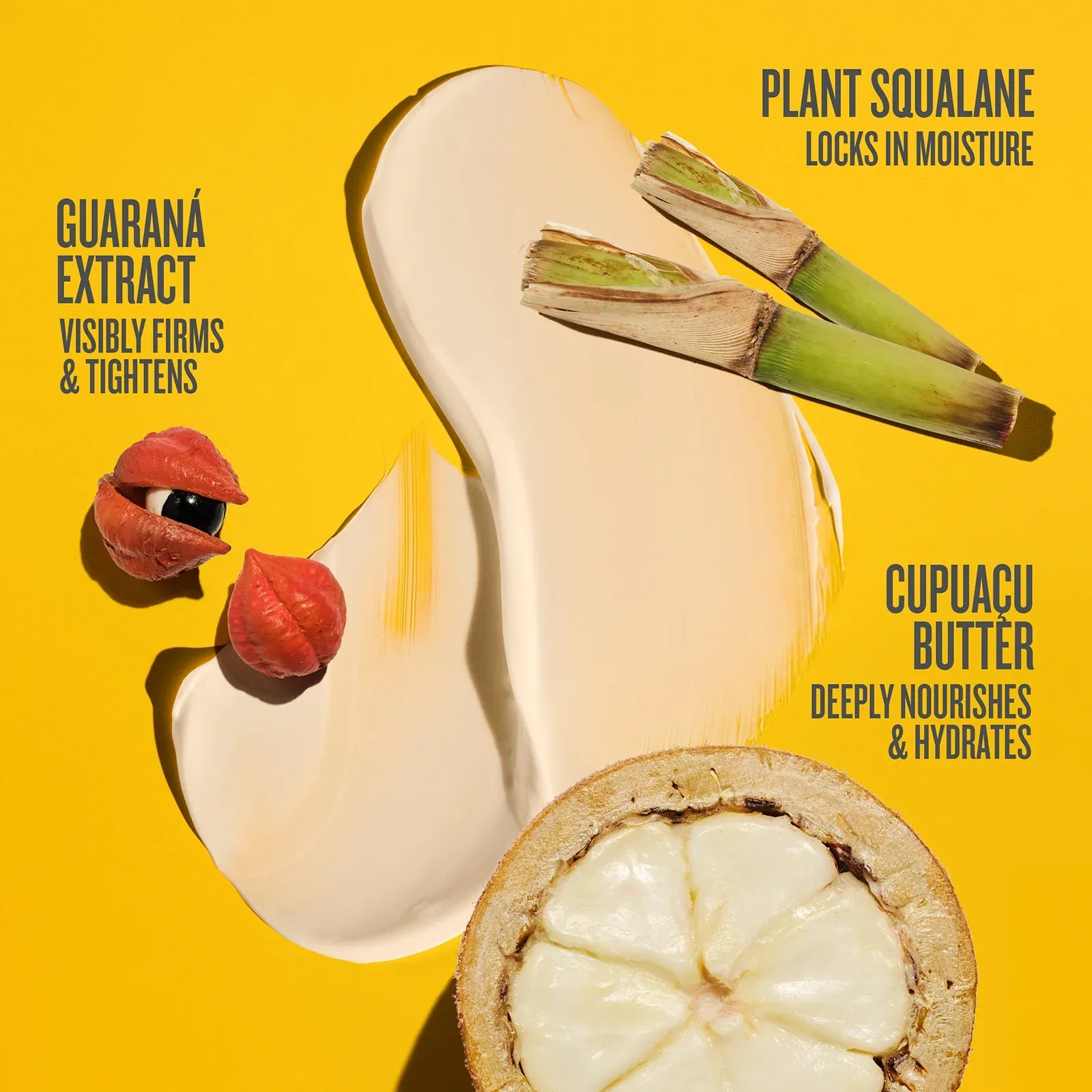Brazilian Icons Duo | Online Exclusive