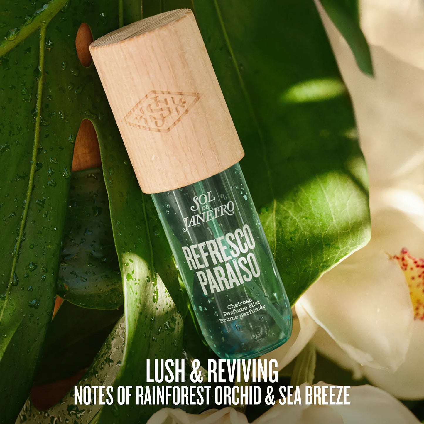 The Destination Drop | Limited Edition Perfume Mist