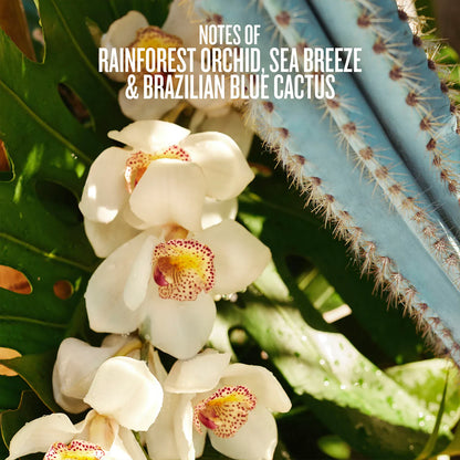 Refresco Paraíso Perfume Mist | Limited Edition